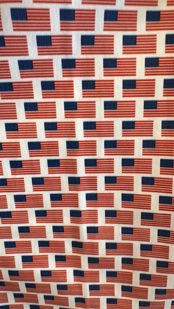 USA Flag Polo